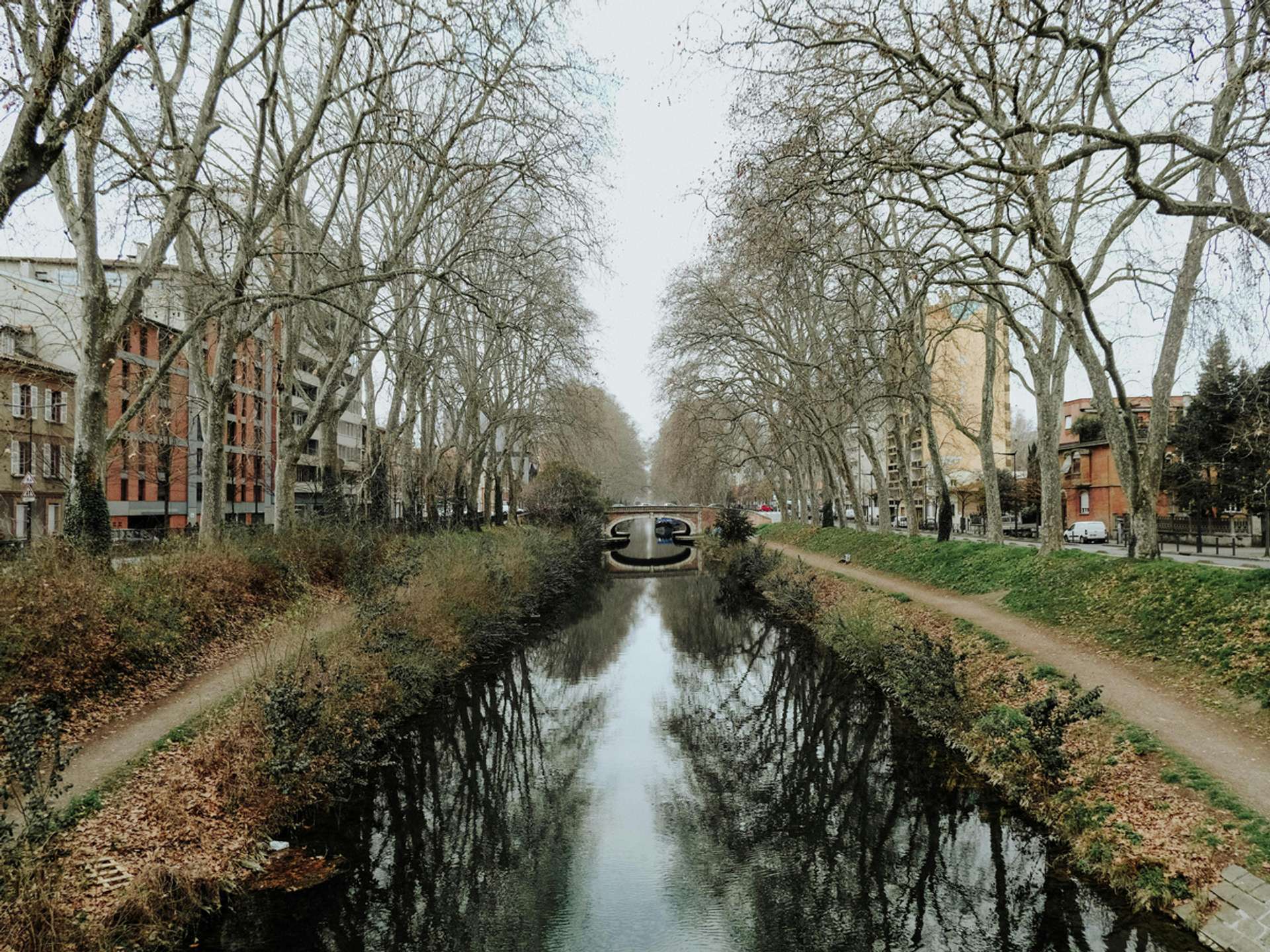 10 Best Tours and Trips in Toulouse in 2025/2026 - Compare Prices