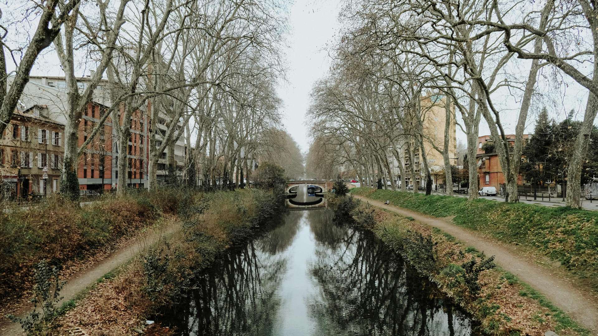 Toulouse Tours and Trips