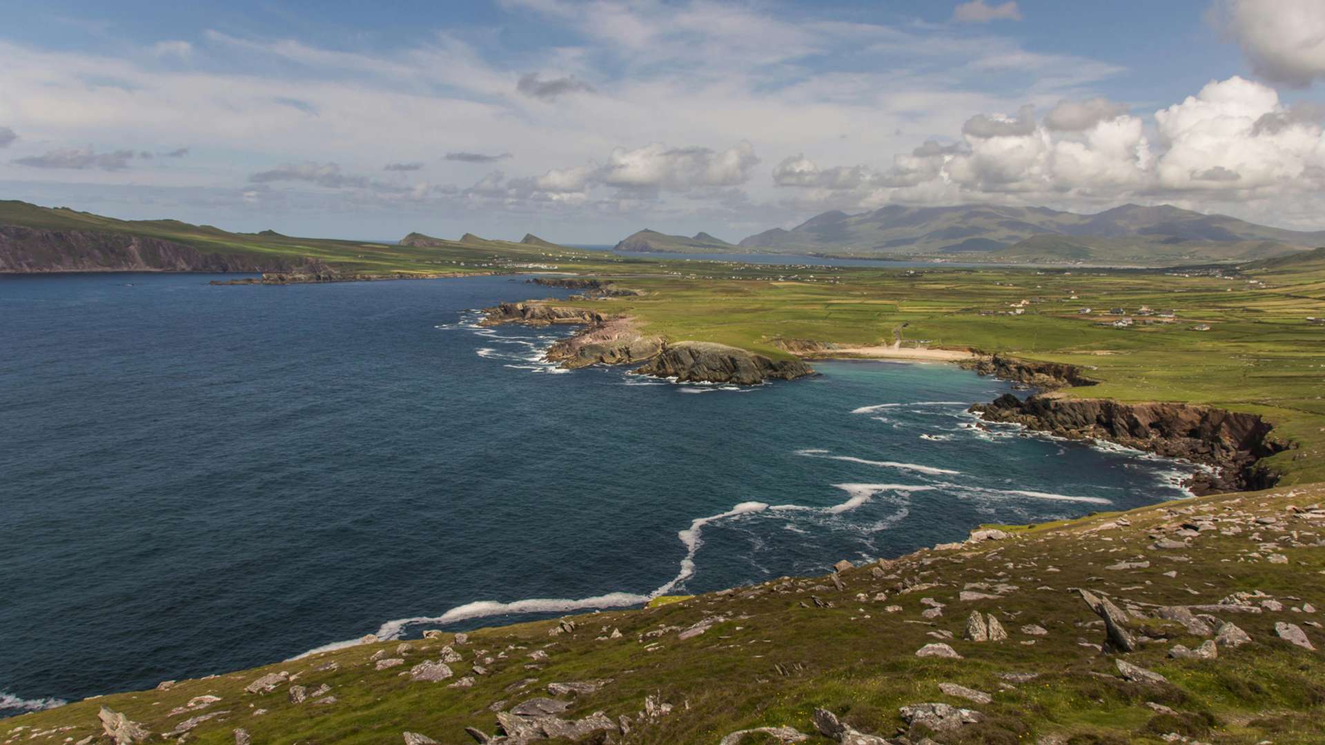 Tralee Tours and Trips