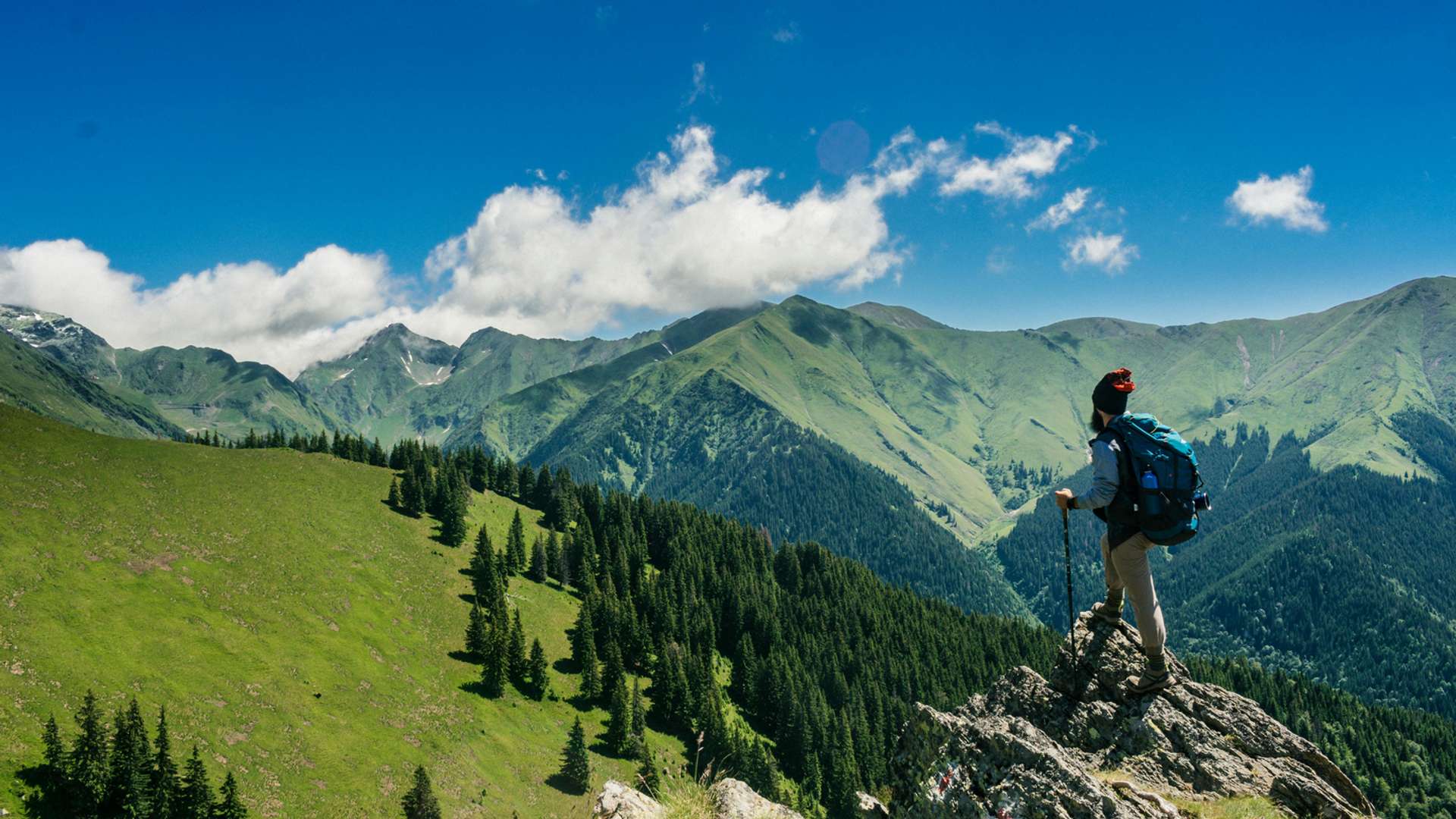 Transylvania Tours and Trips