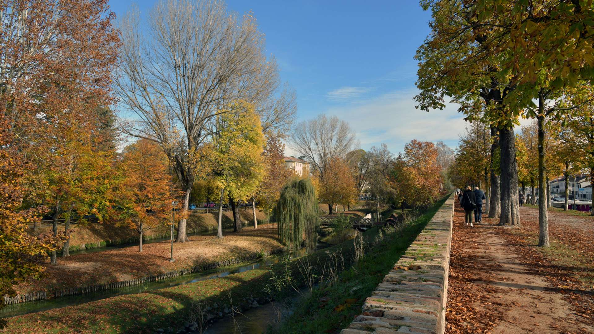 Treviso Tours and Trips