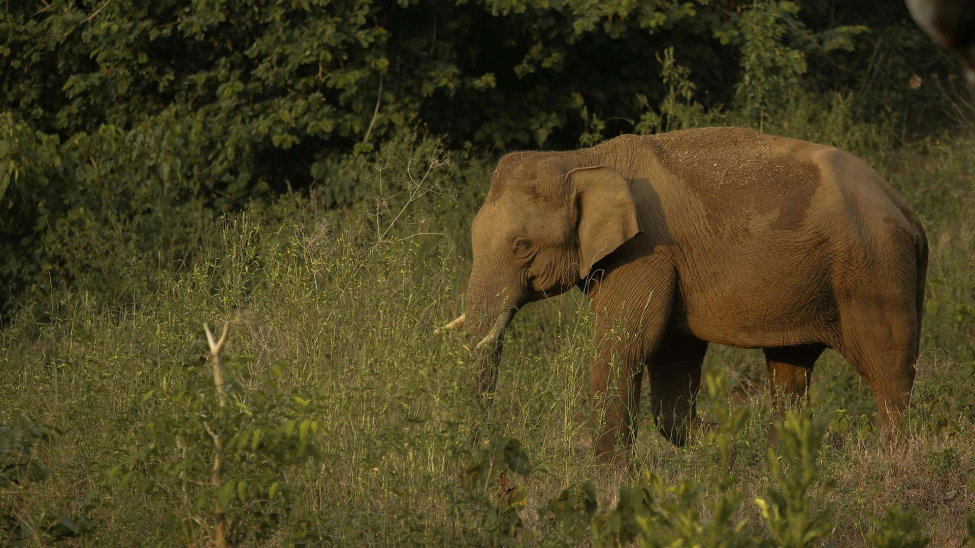 Trivandrum Tours and Trips