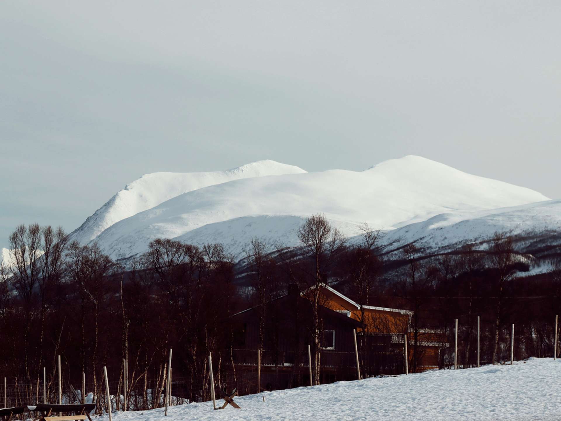 10 Best Tours and Trips in Tromso in 2025/2026 - Compare Prices