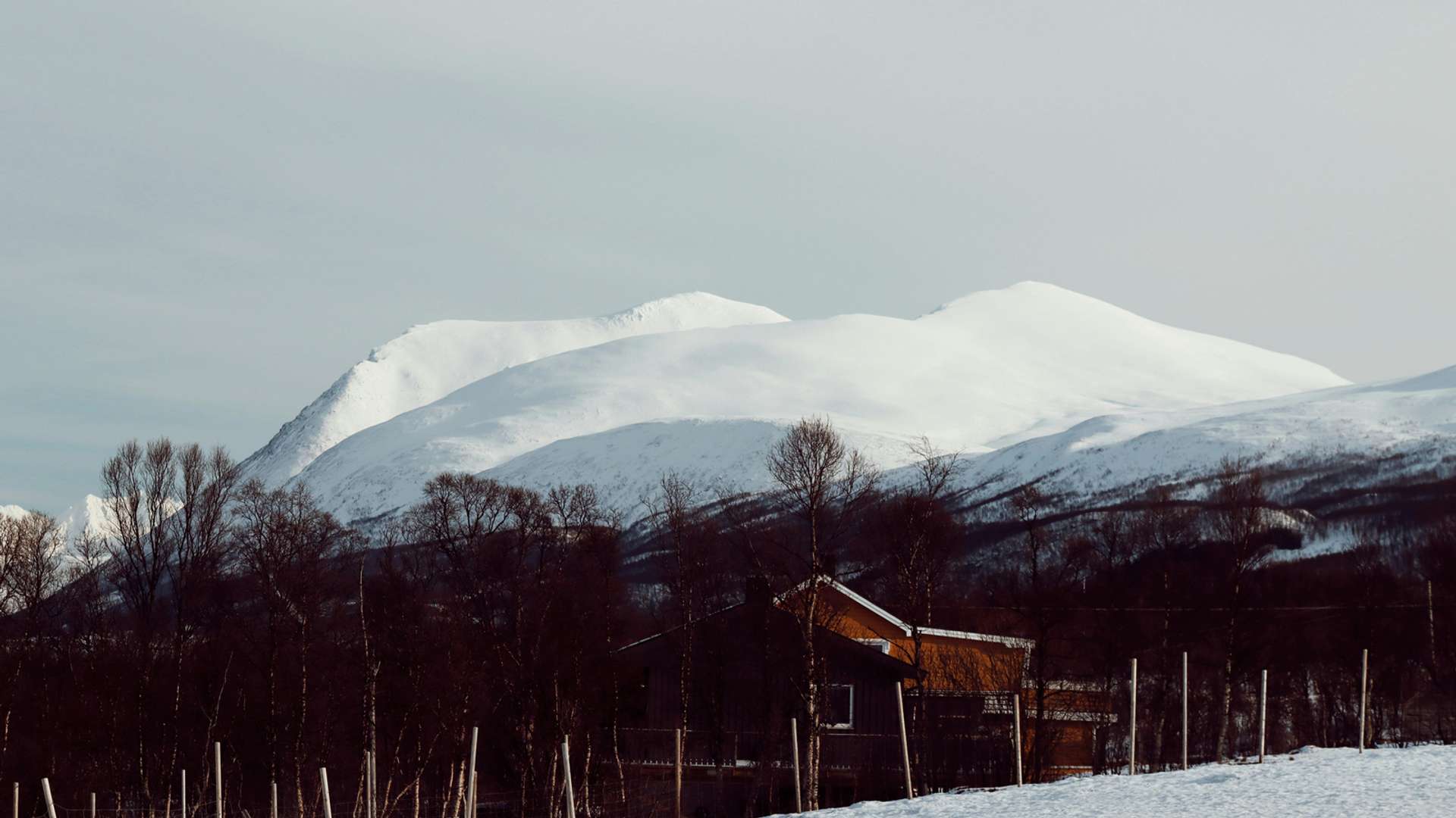 Tromso Tours and Trips