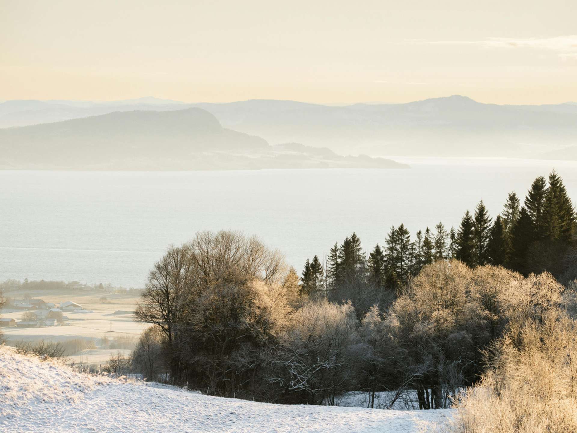 10 Best Tours and Trips in Trondheim in 2025/2026 - Compare Prices