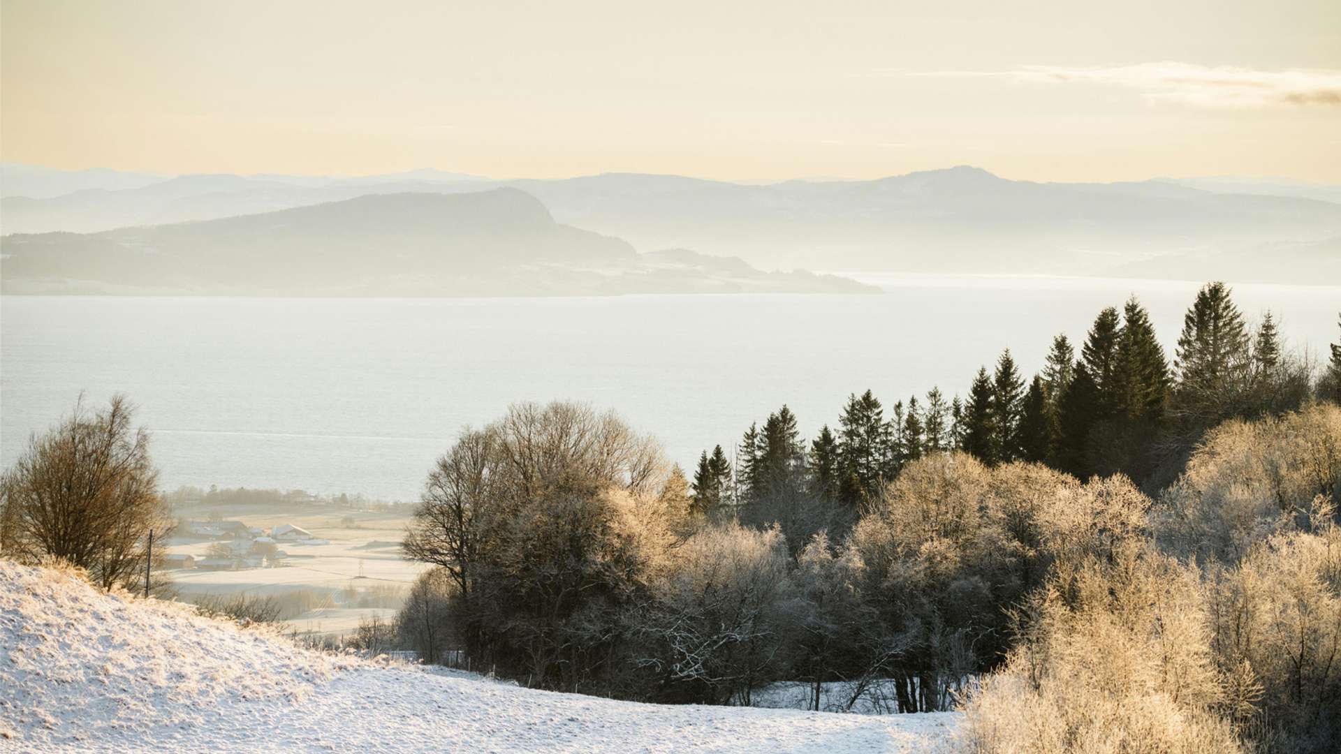 Trondheim Tours and Trips