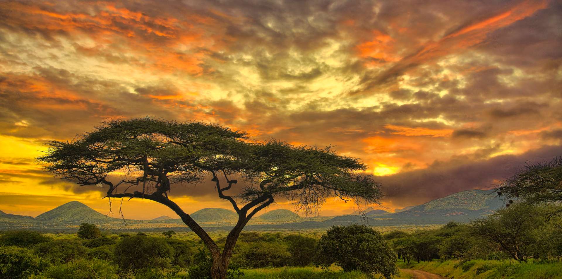 Tsavo West National Park Tours in Fall