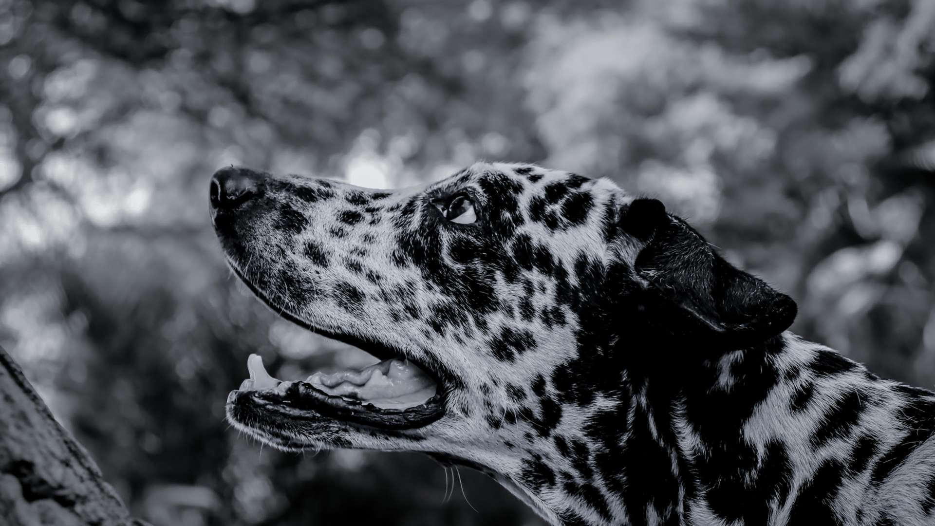 Tumbes Tours and Trips