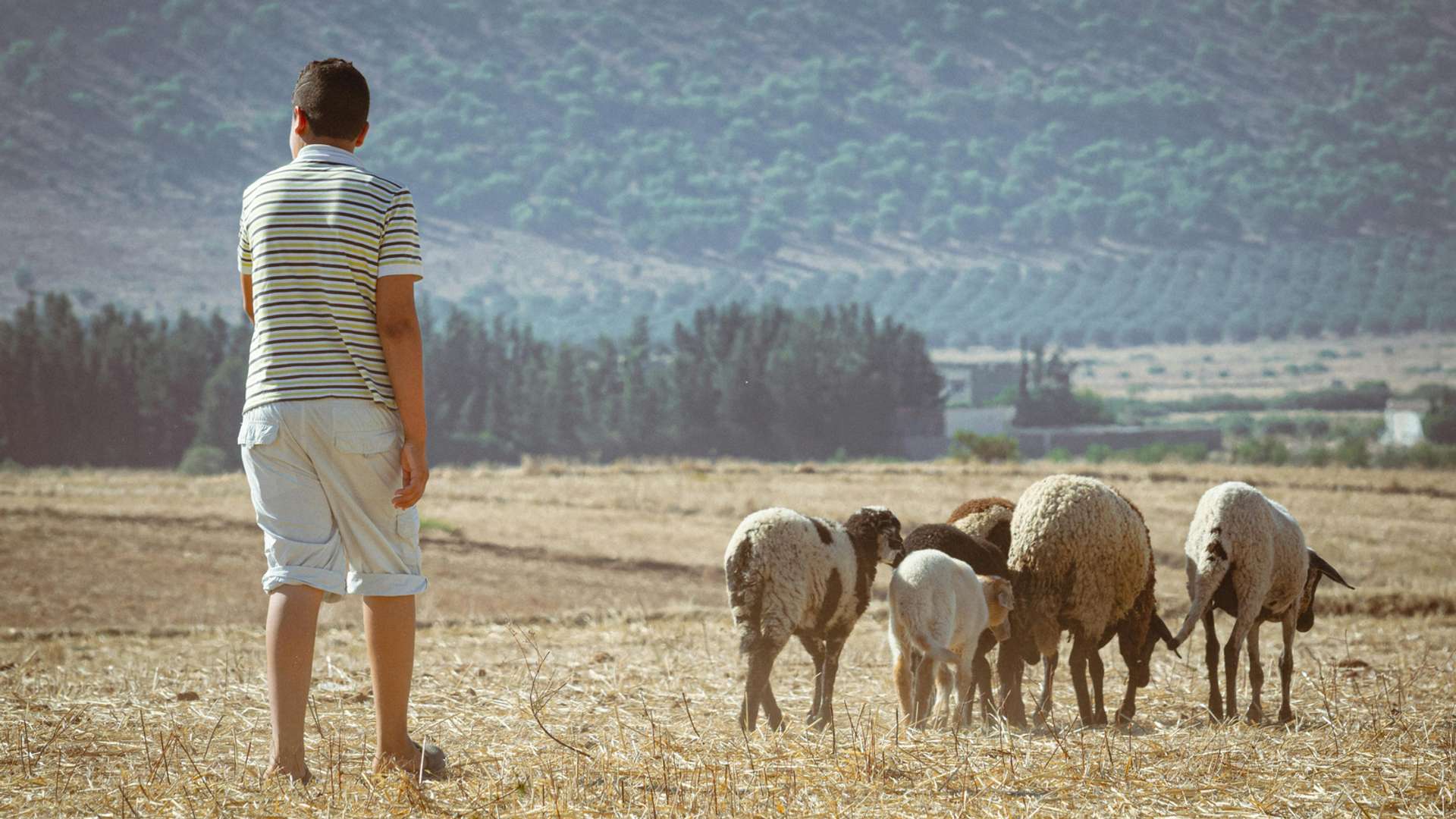 Tunis Tours and Trips