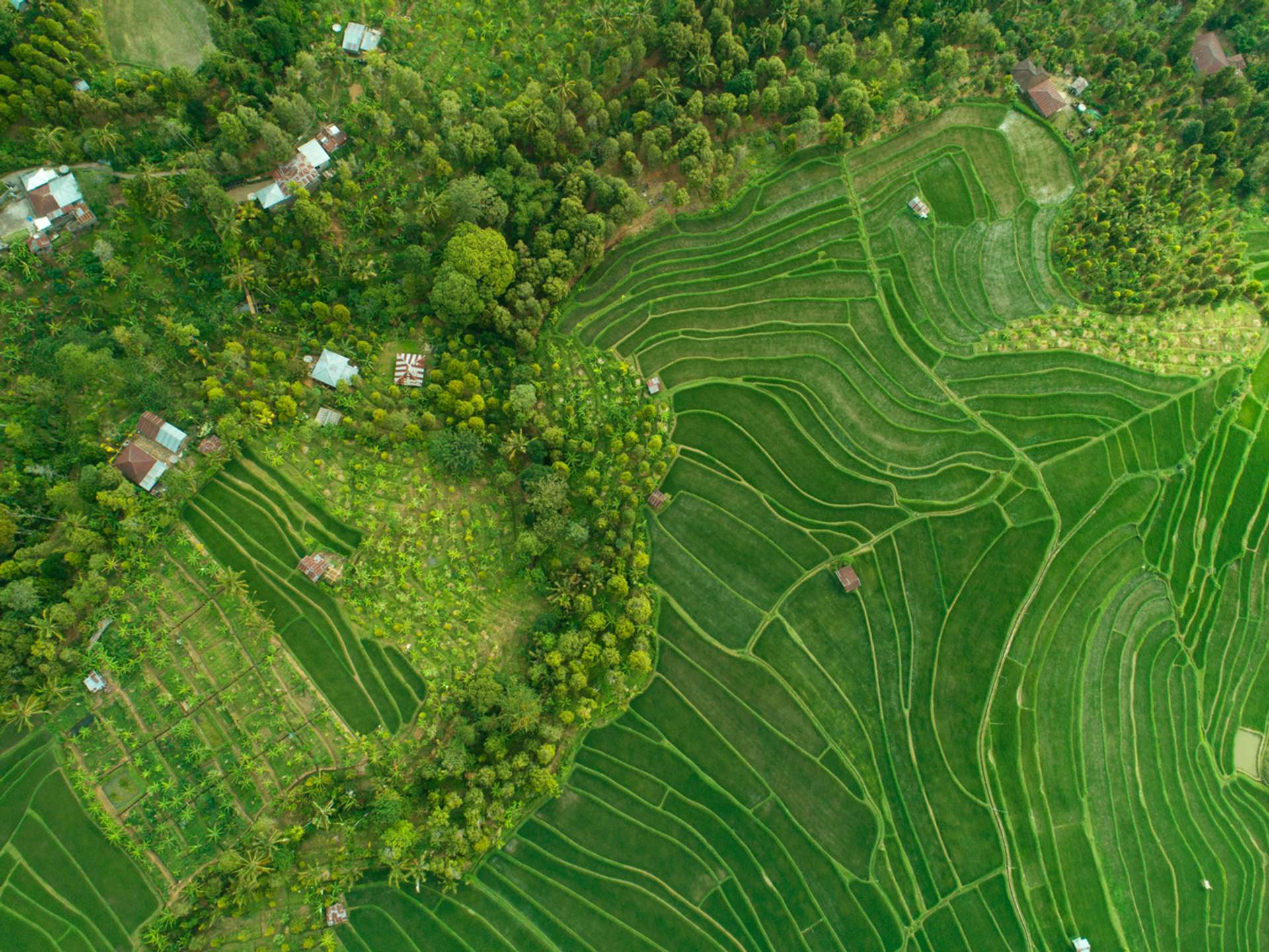 Ubud Natural landmarks sightseeing Trips in 2025/2026