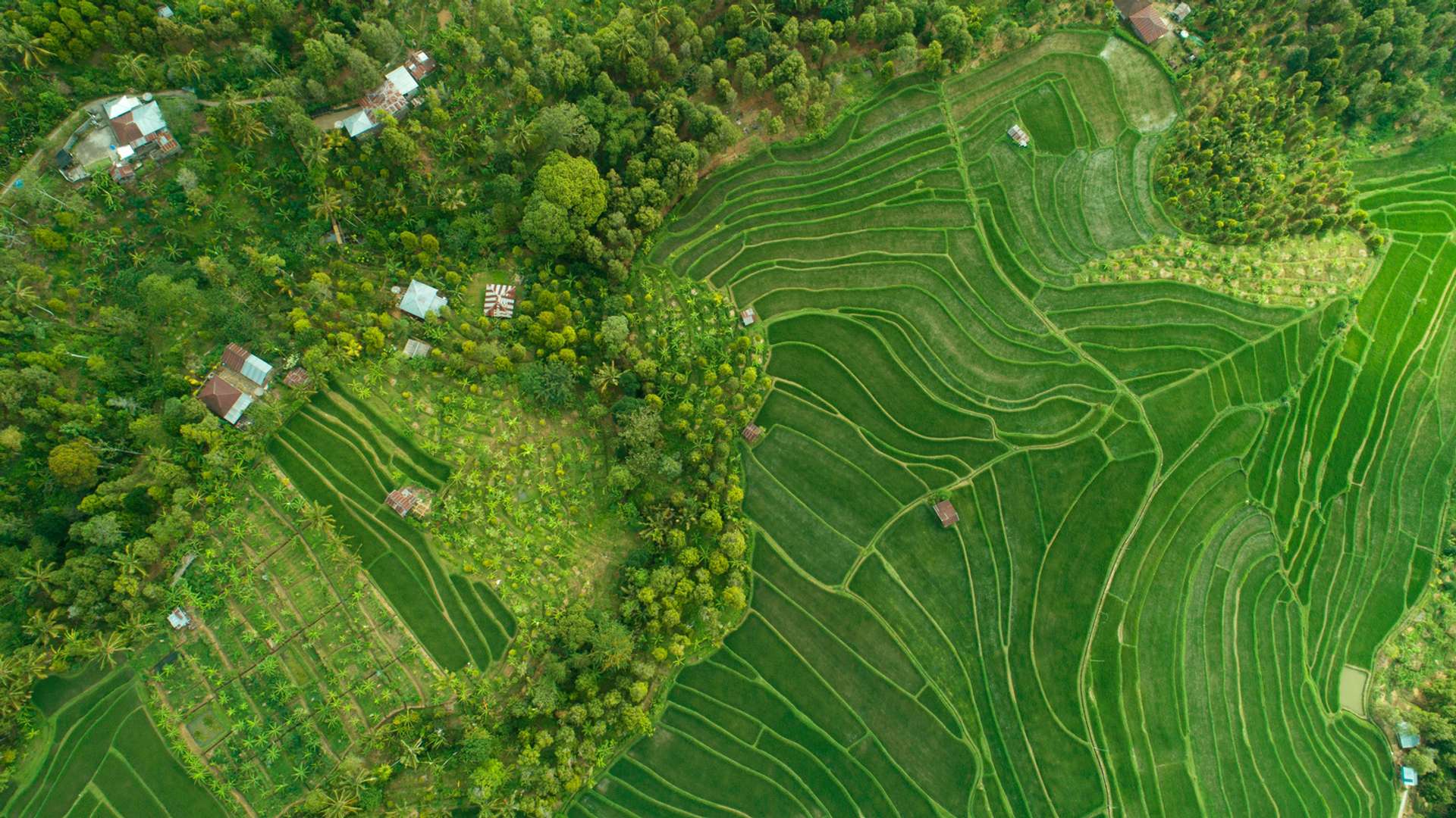Ubud Natural landmarks sightseeing Trips