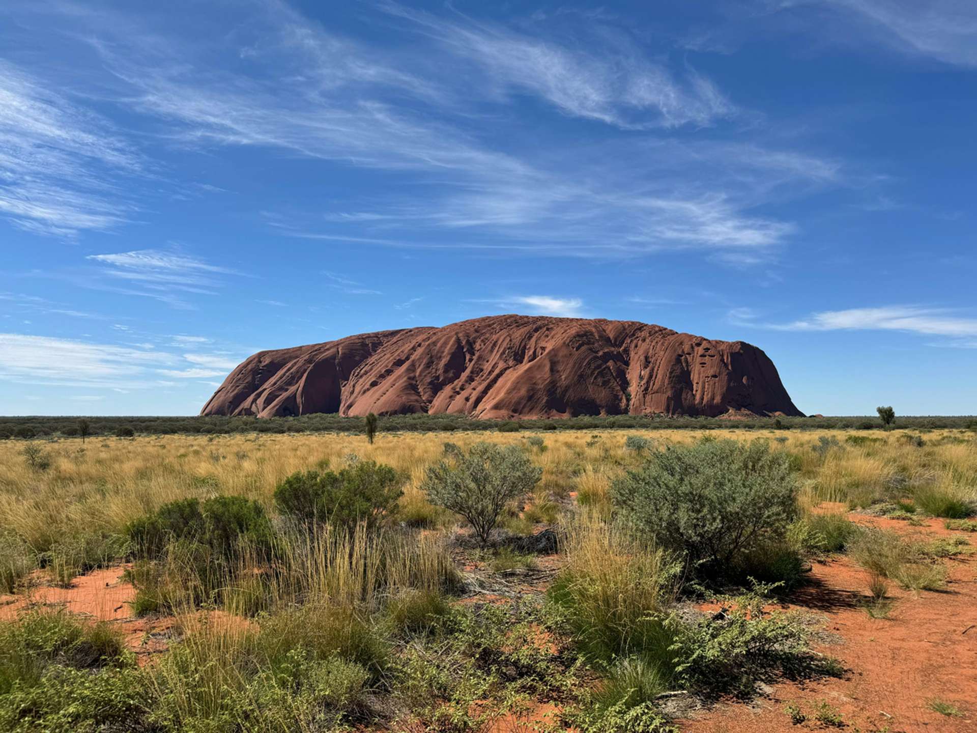 10 Best Tours and Trips in Uluru Kata-Tjuta National Park in 2025/2026 - Compare Prices