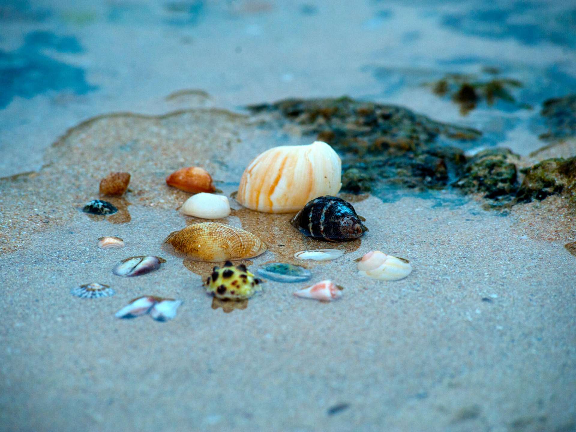 10 Best Tours and Trips in Unawatuna in 2025/2026 - Compare Prices
