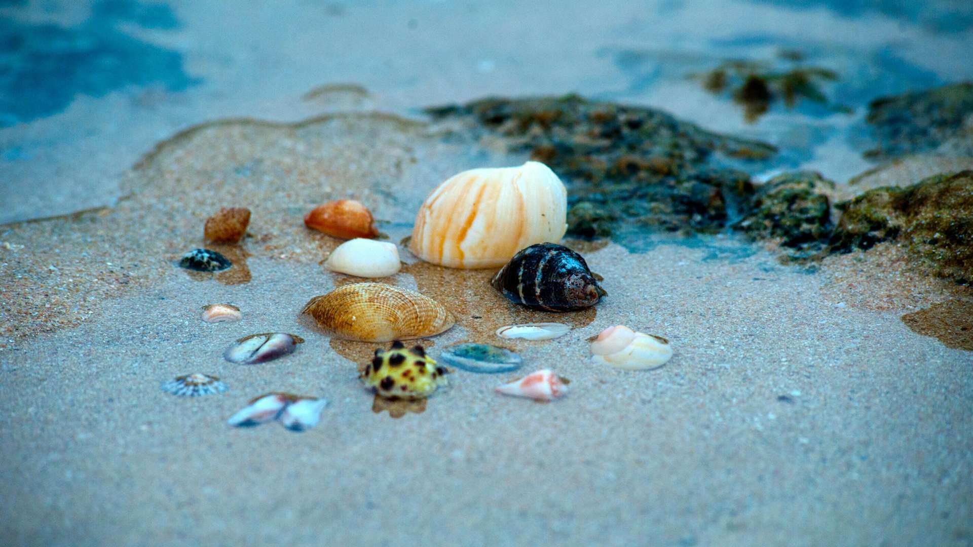 Unawatuna Tours and Trips