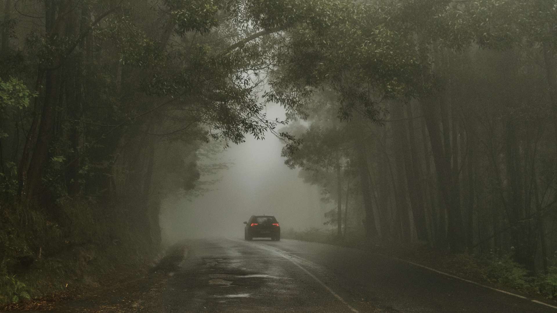 Vigo Tours in Fall