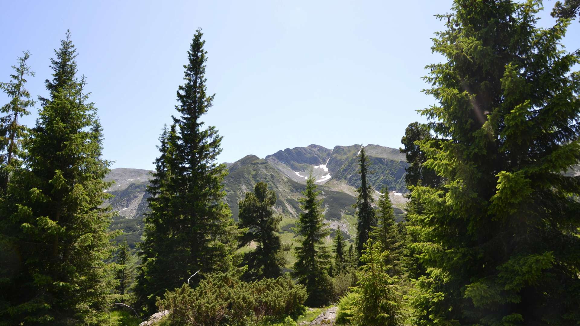 Viscri Tours and Trips