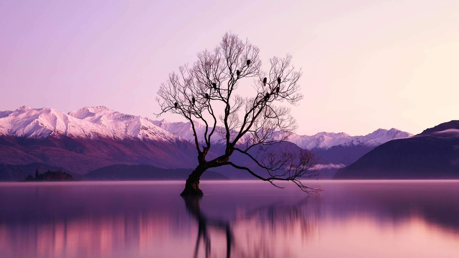 Wanaka Tours in October 2027