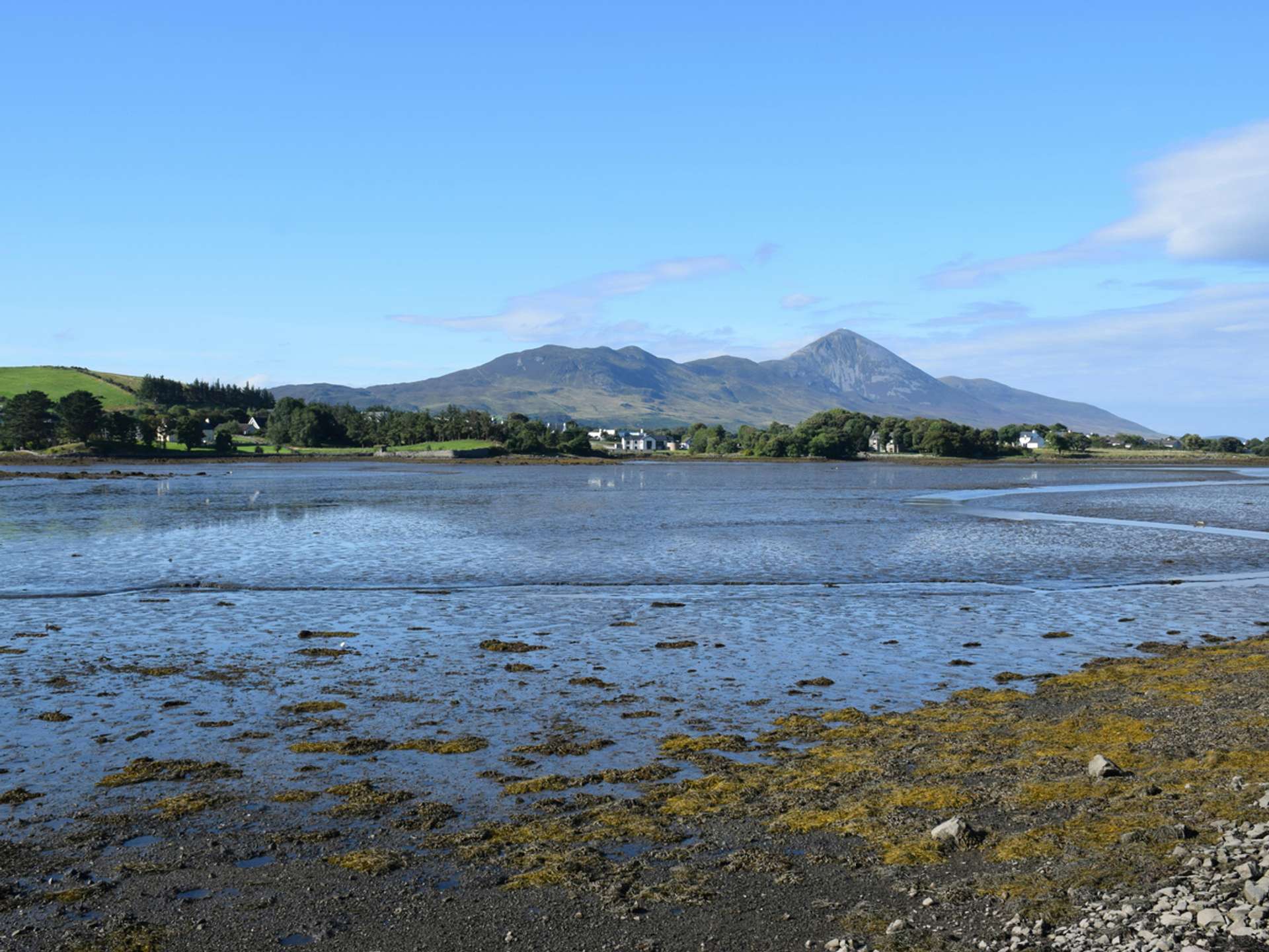 10 Best Tours and Trips in Westport in 2025/2026 - Compare Prices