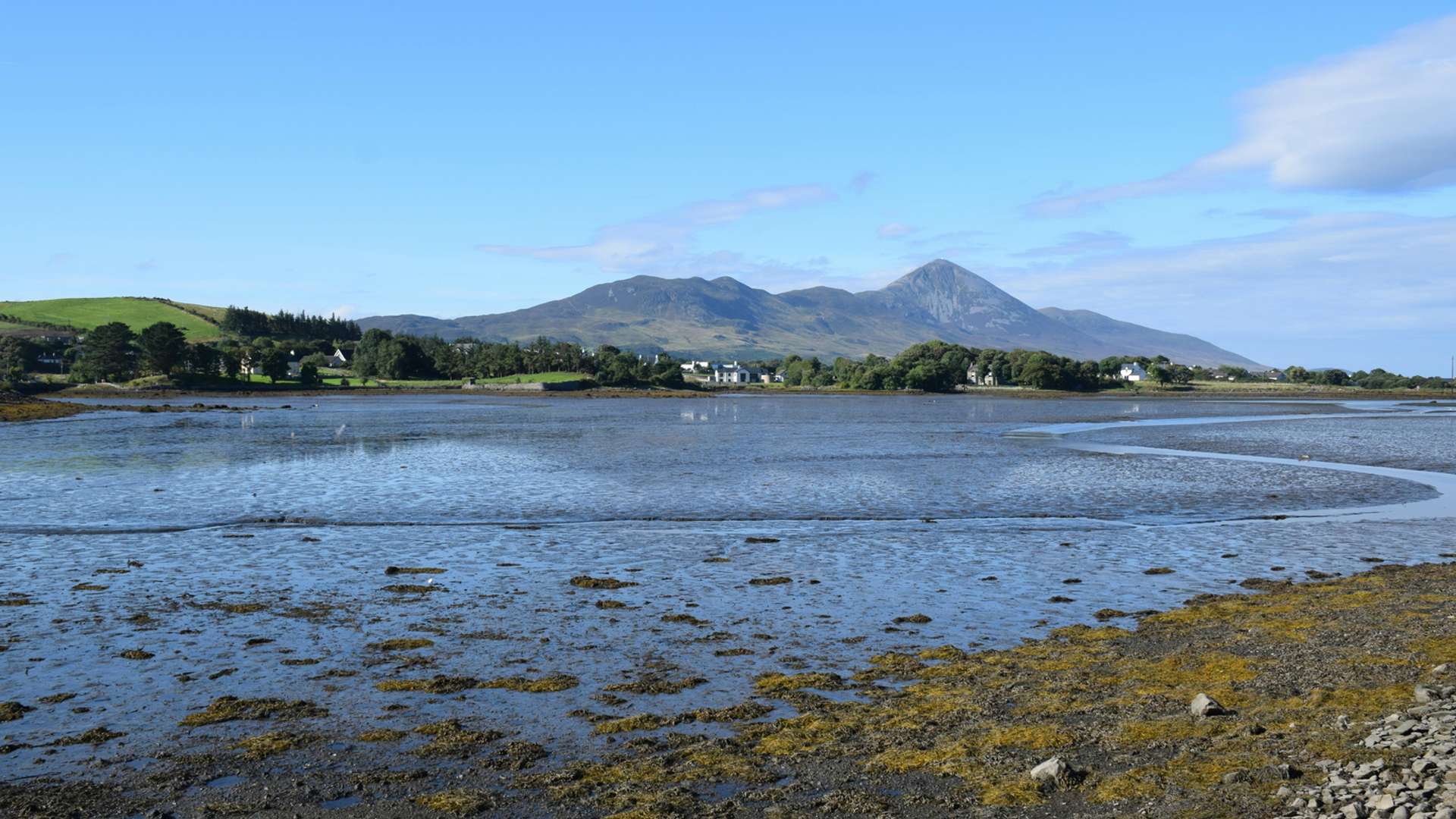 Westport Tours and Trips