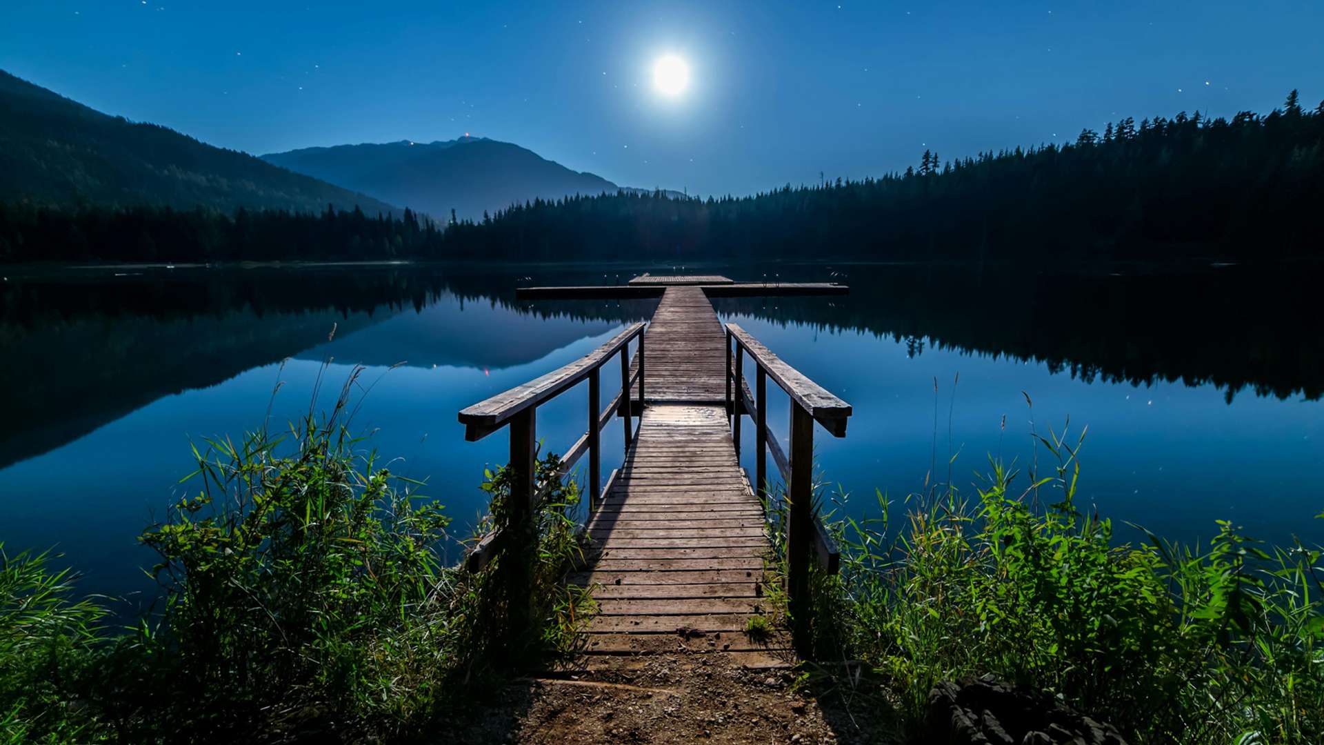 Whistler Tours and Trips