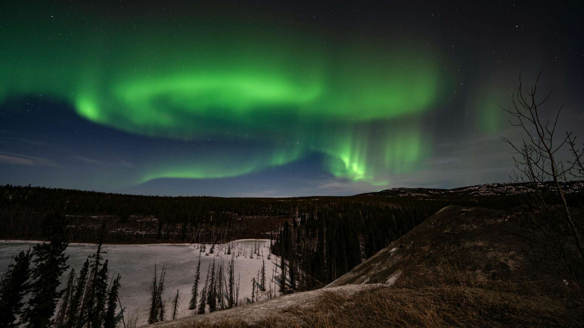 Whitehorse Tours and Trips