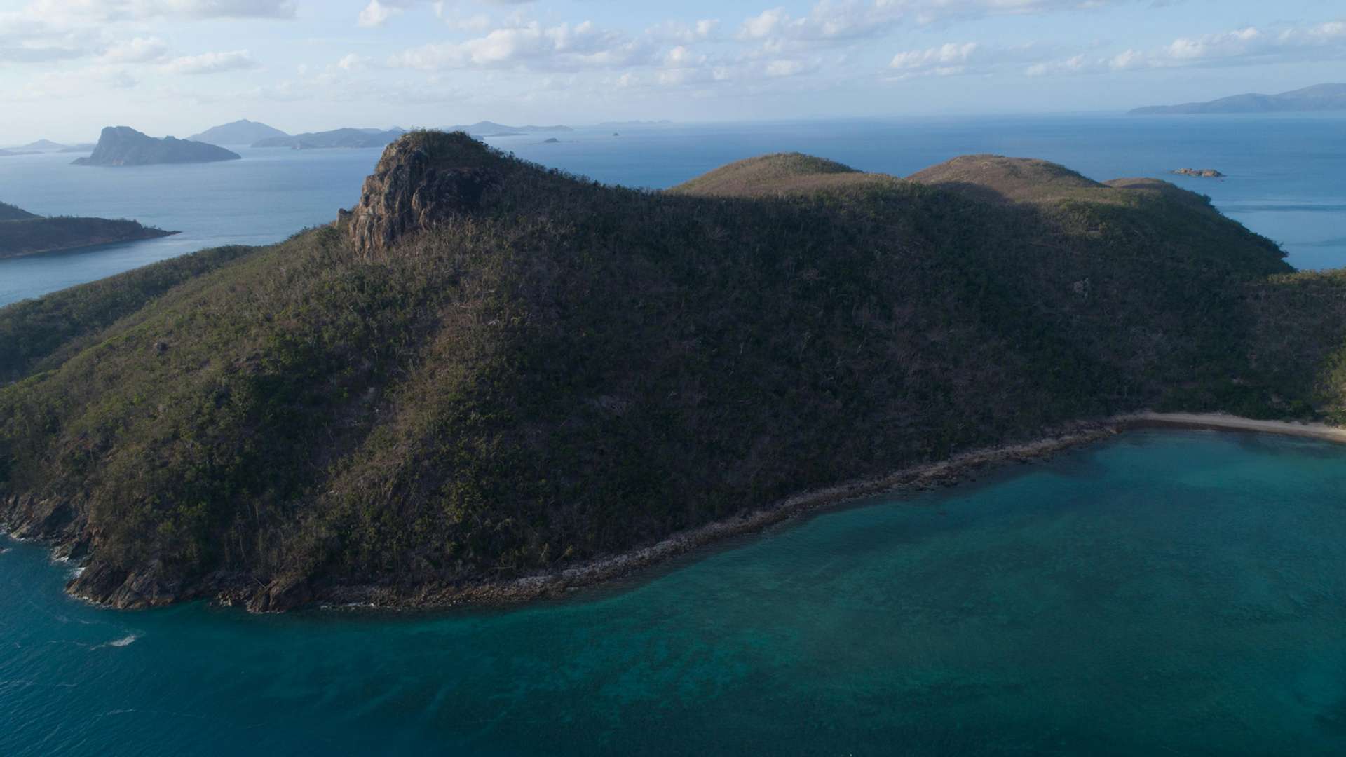 Whitsundays Tours and Trips