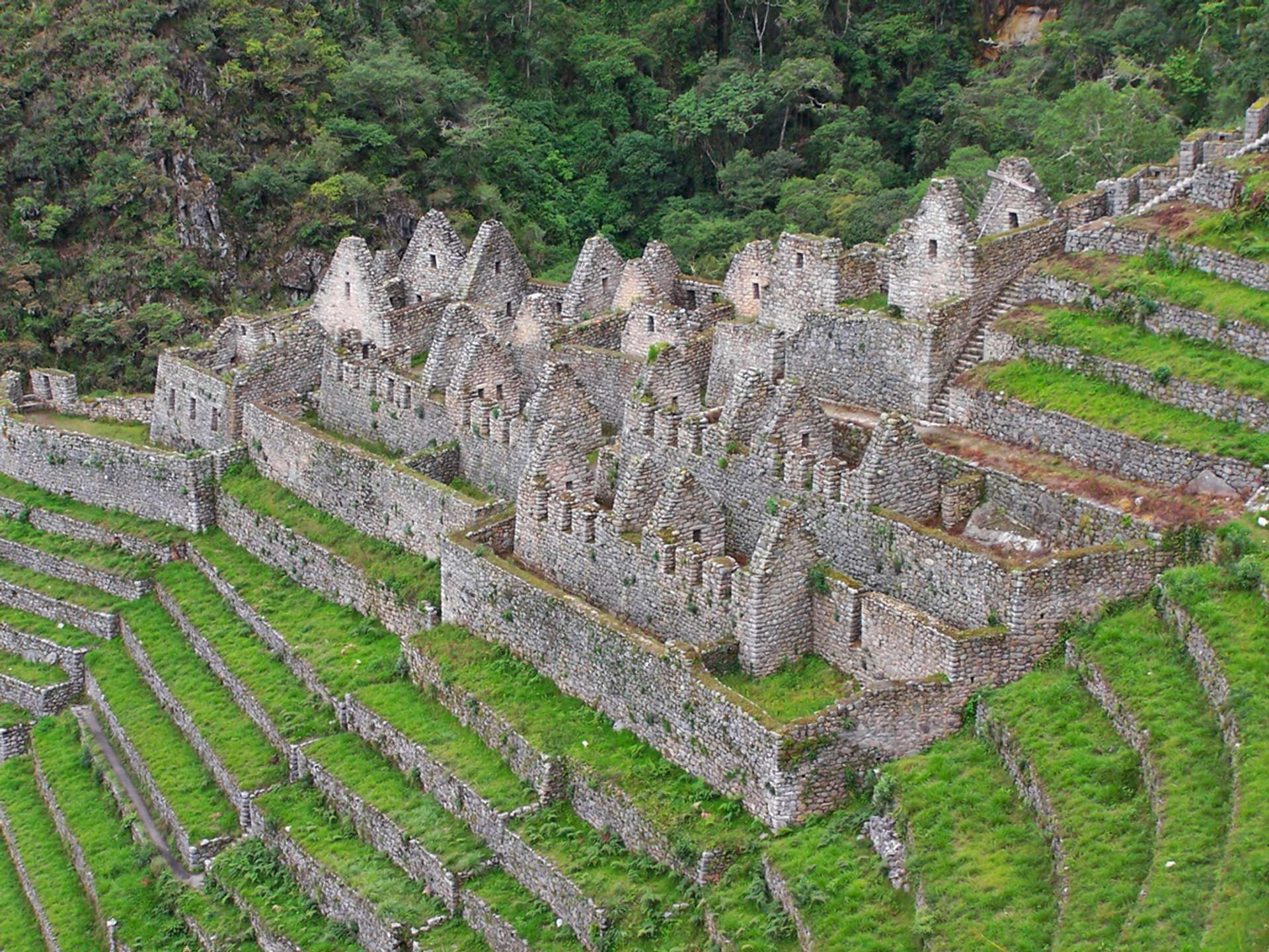 10 Best Wiñay Wayna Multiday Tours in Fall