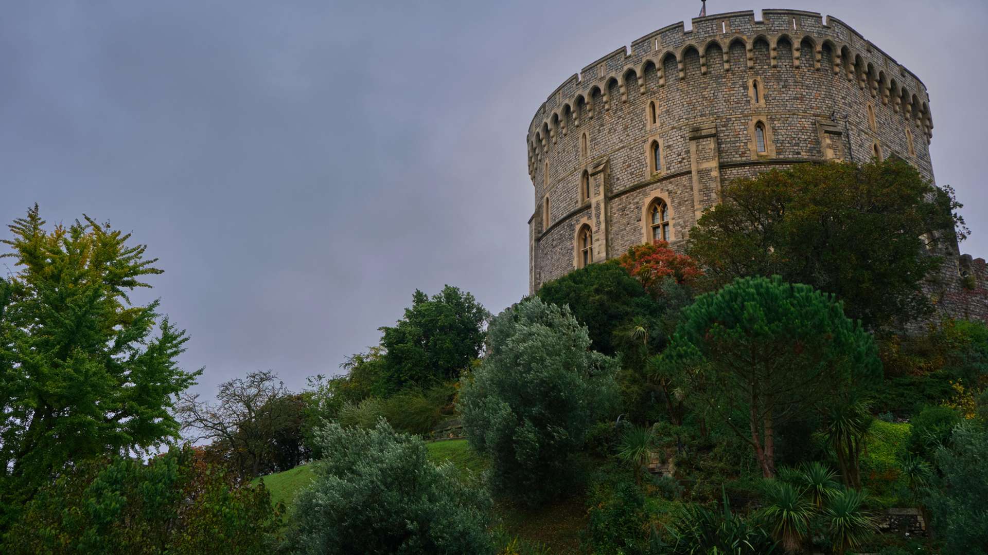 Windsor Tours and Trips