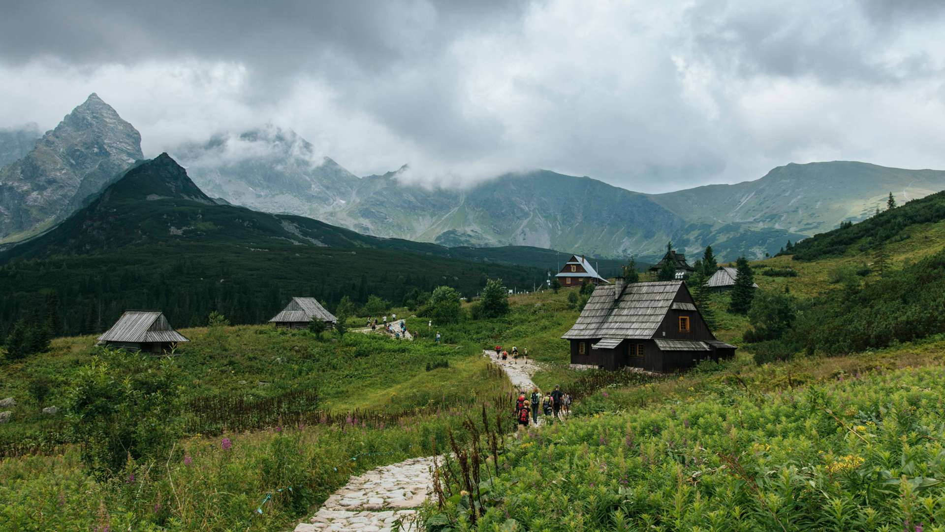 Zakopane Tours and Trips