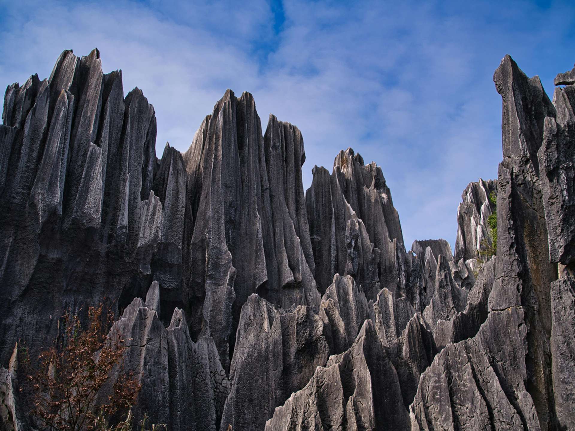 10 Best Tours and Trips in Zhangjiajie in 2025/2026 - Compare Prices