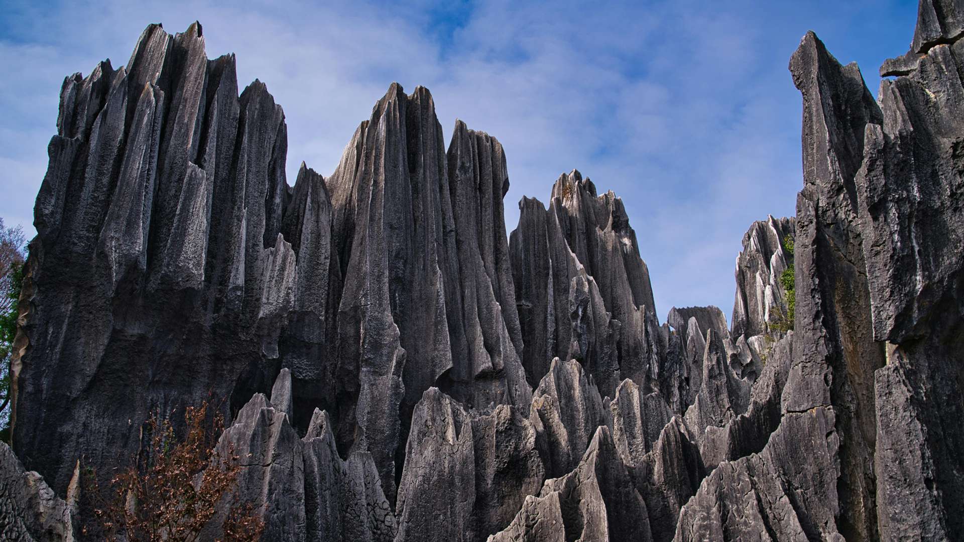 Zhangjiajie Tours and Trips