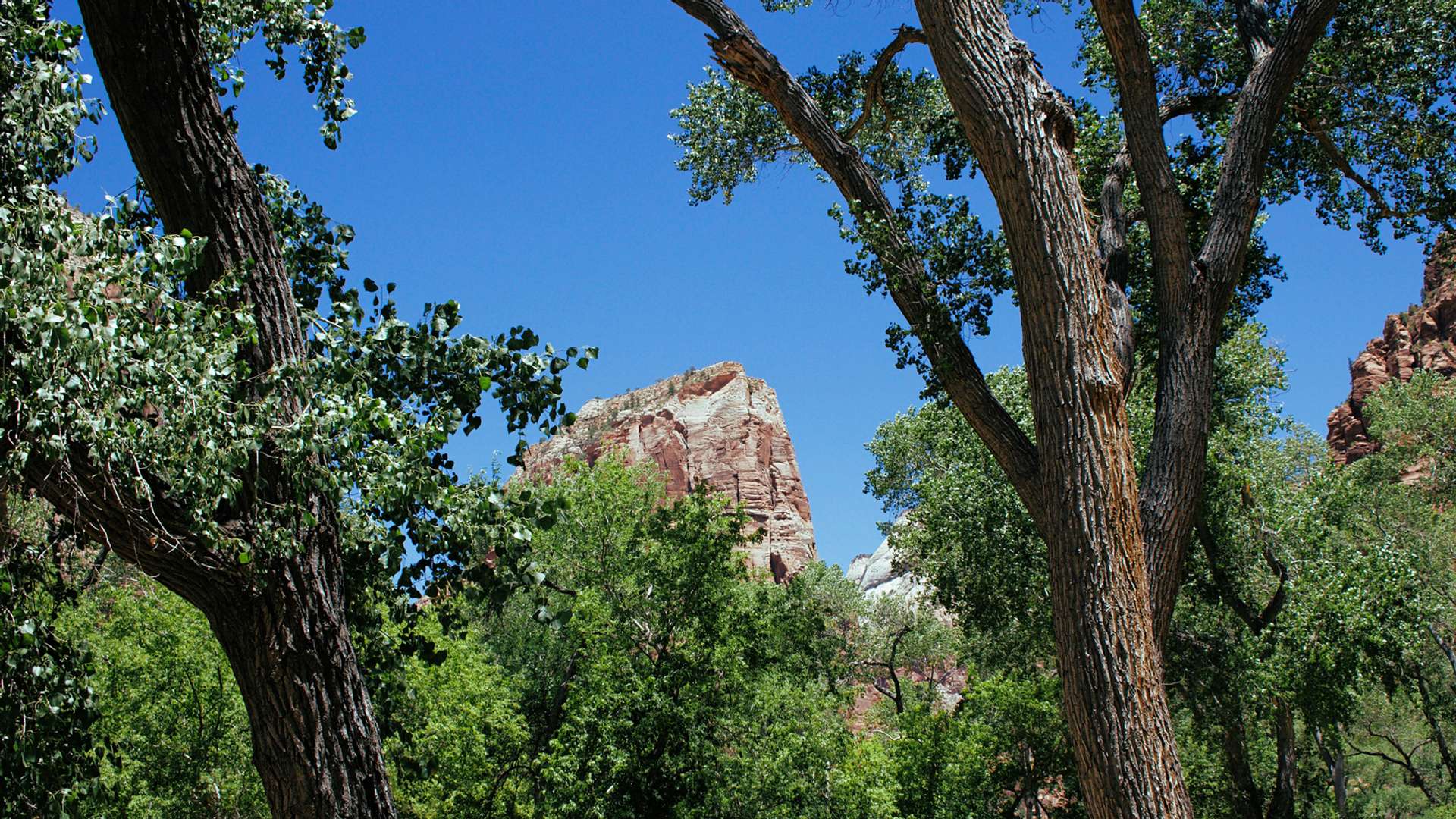 Zion National Park Tours and Trips