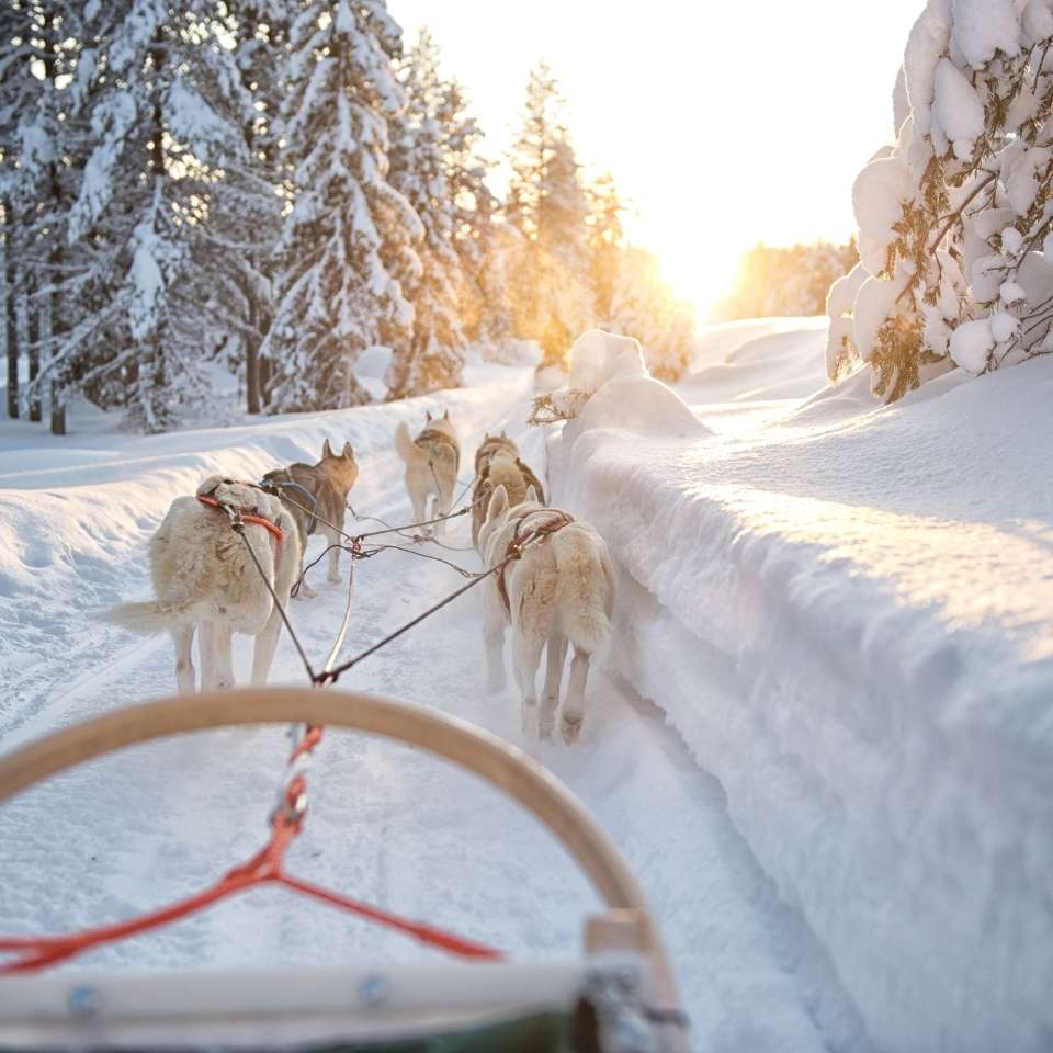 Top Finland tours