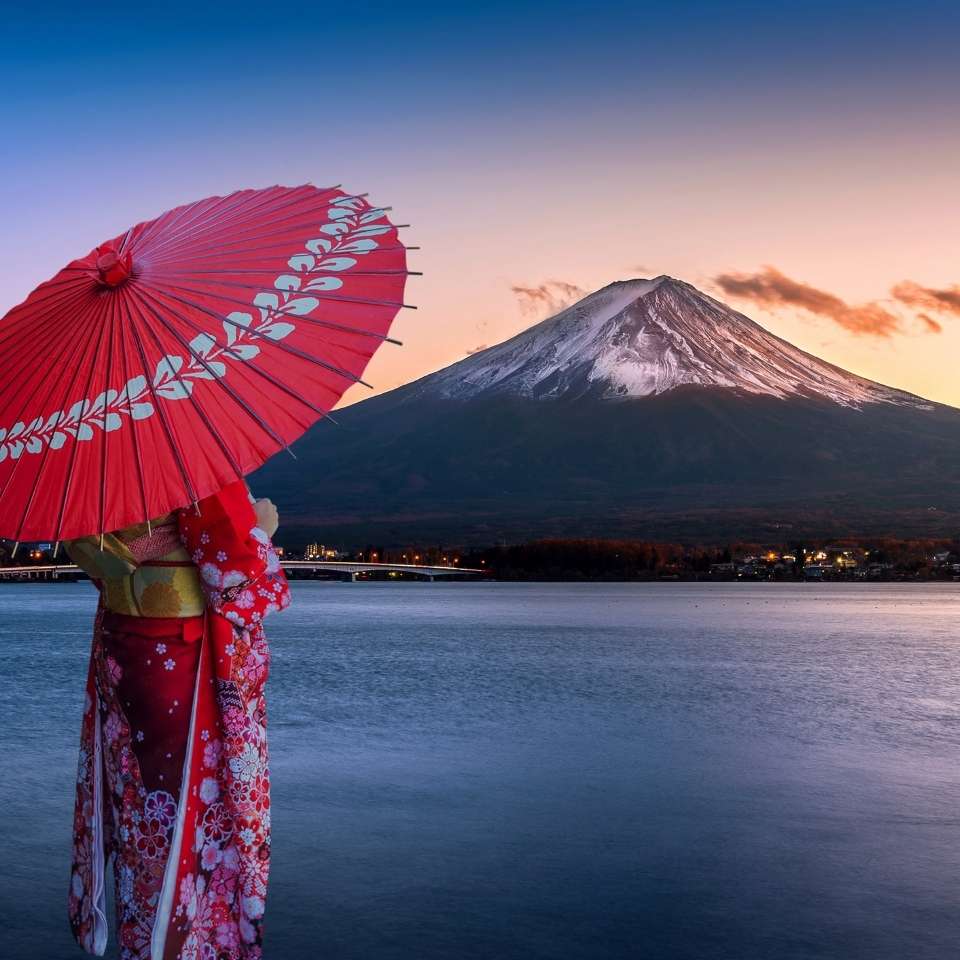Top Japan tours