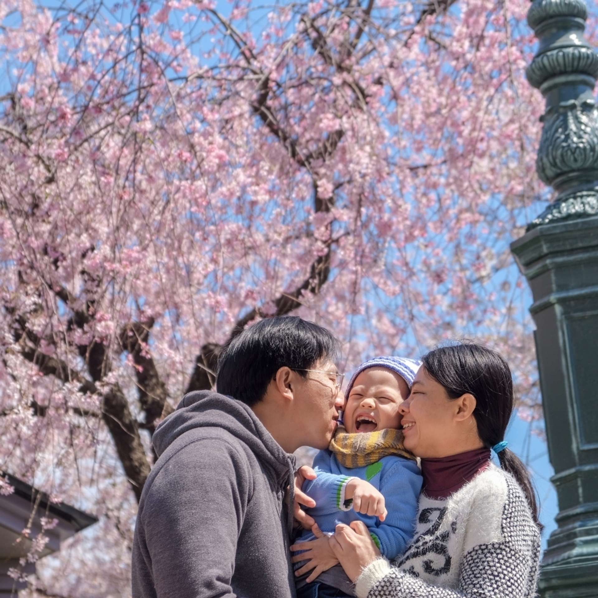 THE 10 BEST Japan Family Tours and Vacation Packages in 2025/2026