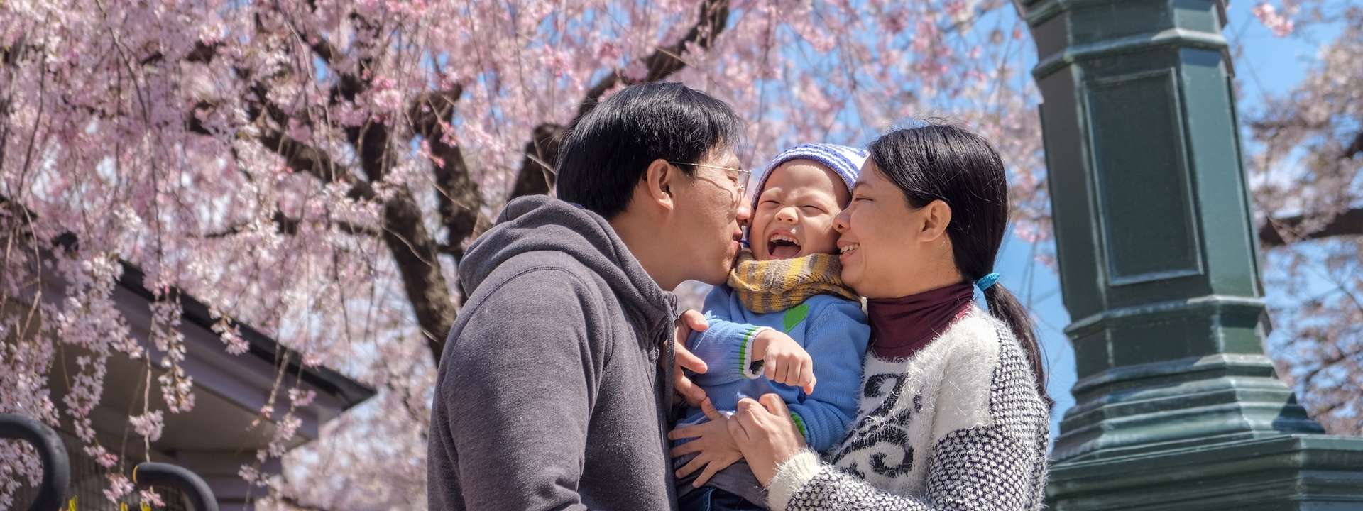 Japan Family Tours