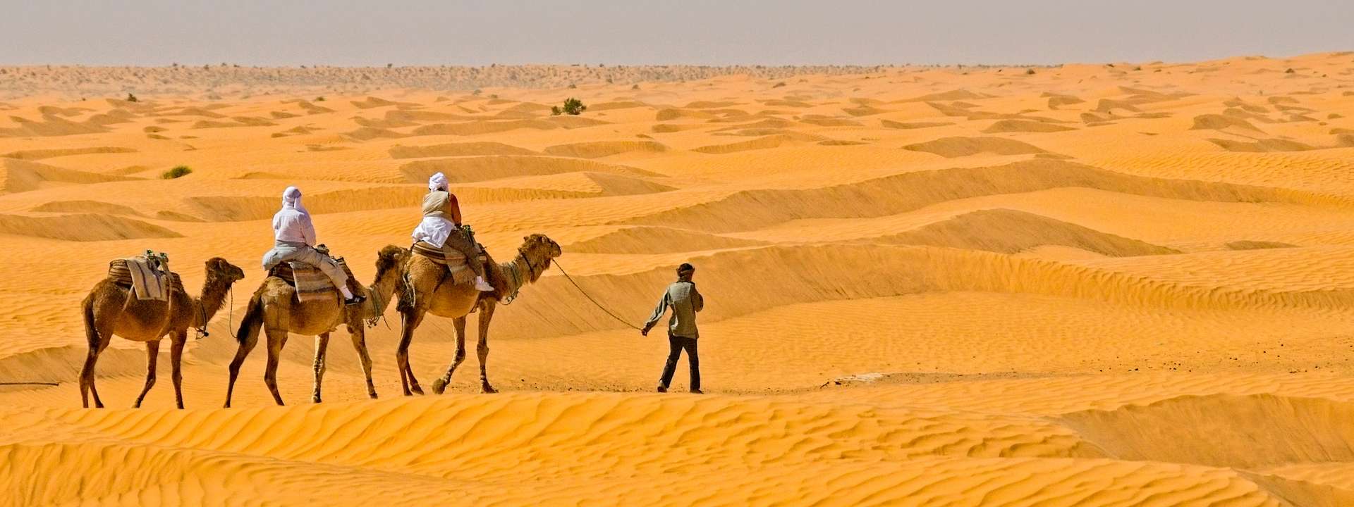 Jordan Group Tours