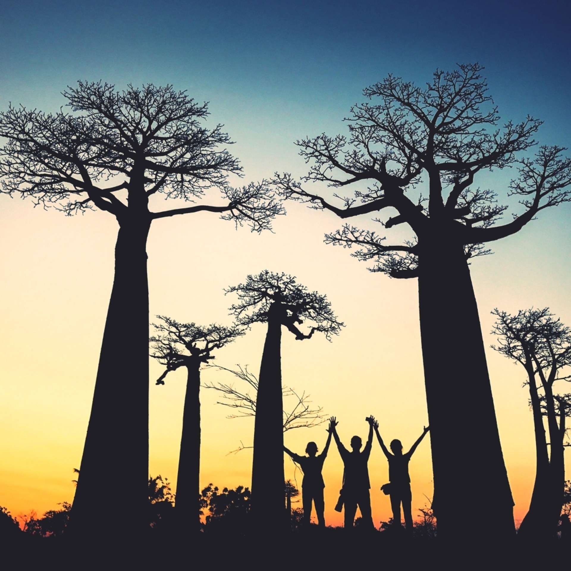 The 10 BEST Madagascar Group Tours & Trip Packages 2025/2026