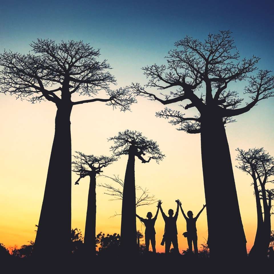 Top Madagascar tours