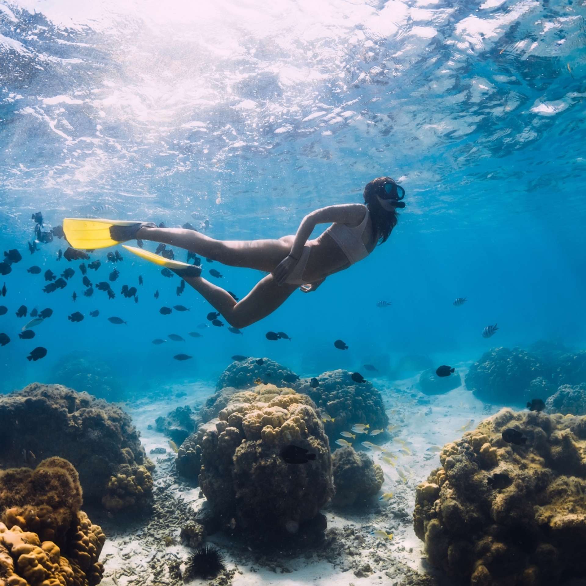 BEST PRIVATE Mauritius Tours & Trip Packages 2026/2027