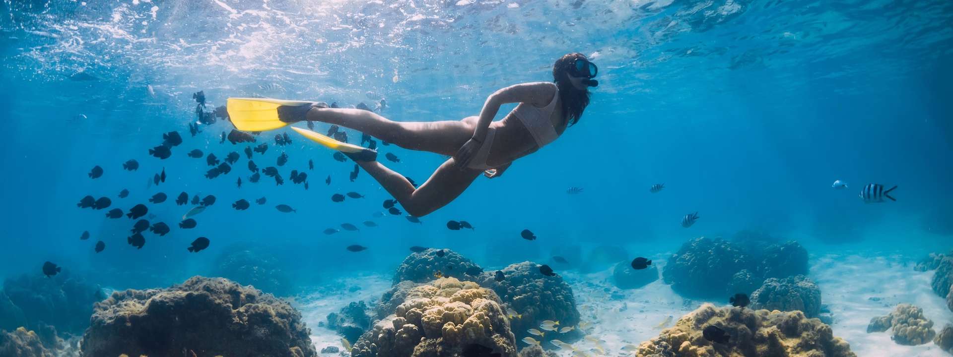 Mauritius Private Tours and Trips