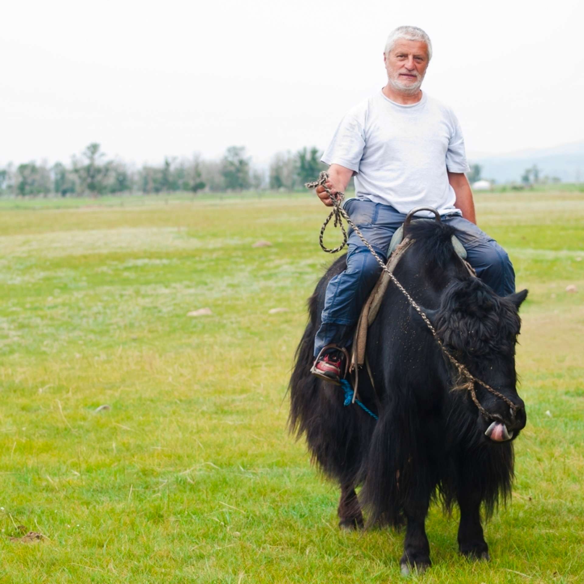 9 Best Tours of Mongolia for Seniors Aged 60+