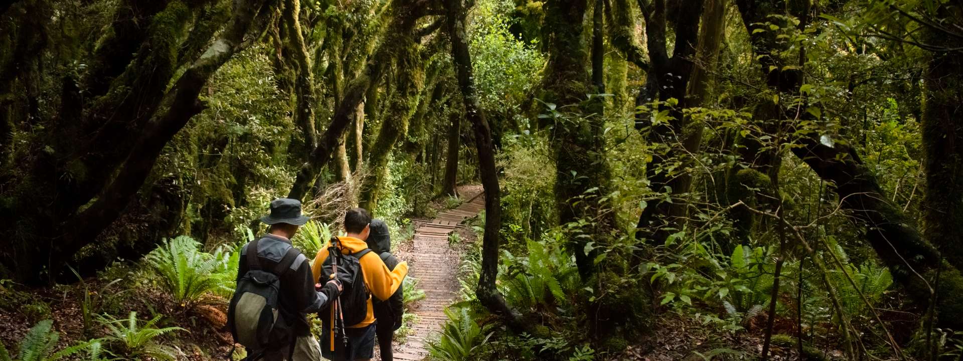 New Zealand Group Tours