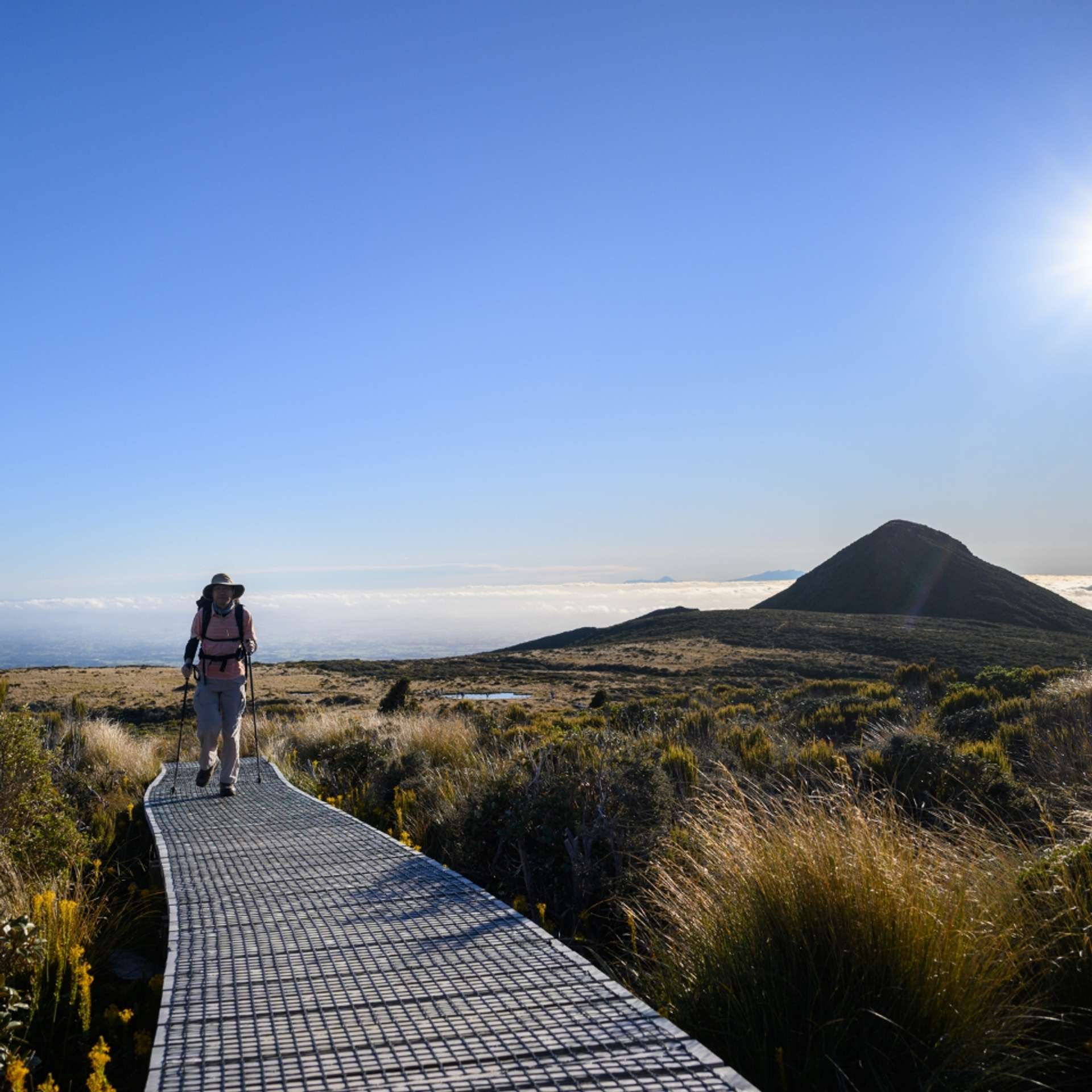 10 Best Tours of New Zealand for Seniors Aged 60+