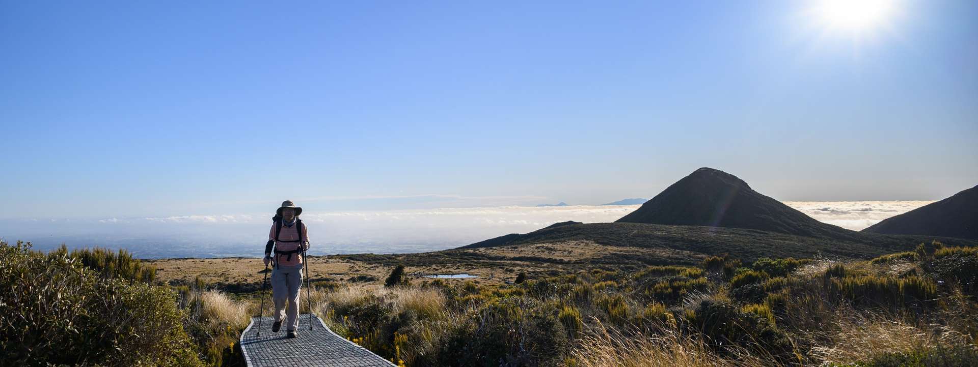 New Zealand Tours and Trips for Seniors