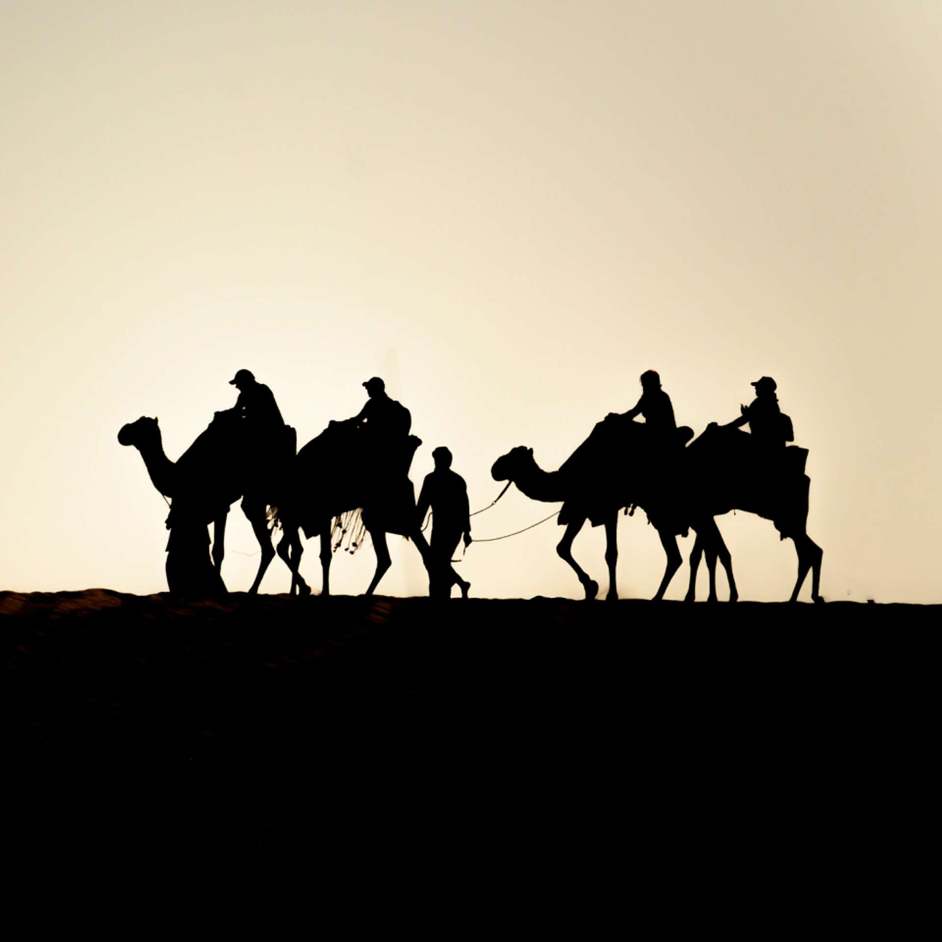 The 10 BEST Qatar Group Tours & Trip Packages 2025/2026