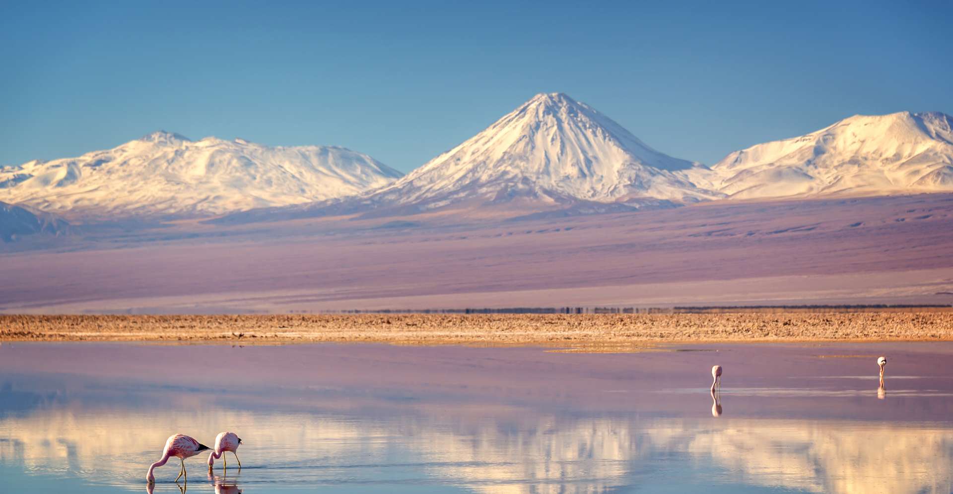 Andes Family Vacation and Tour Packages