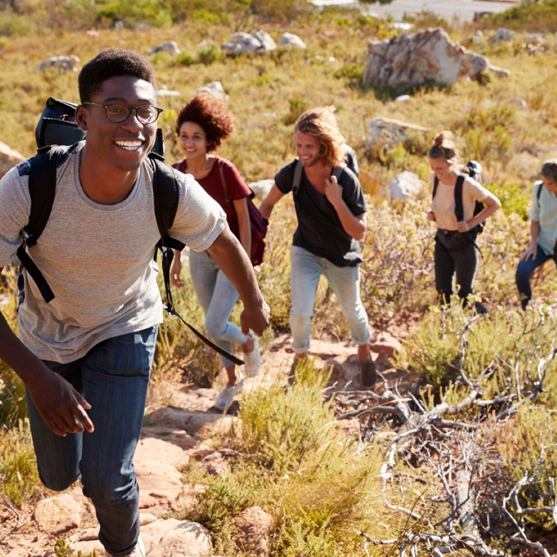 The 10 BEST South Africa Group Tours & Trip Packages 2025/2026