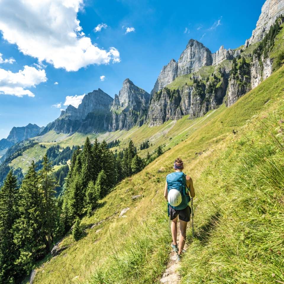 Top Switzerland tours
