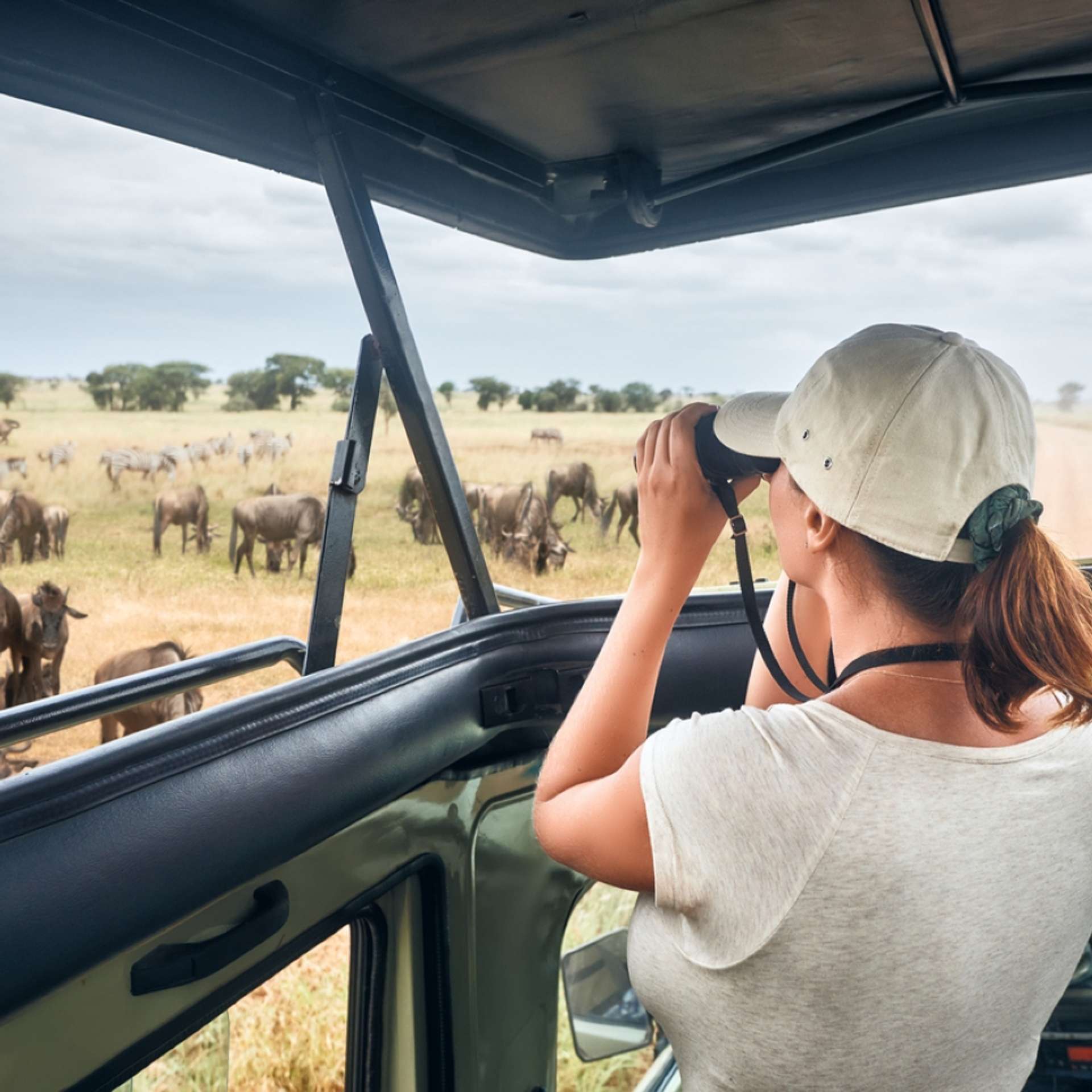 Top 10 Tanzania Solo Trips and Single Traveler Tours 2025/2026